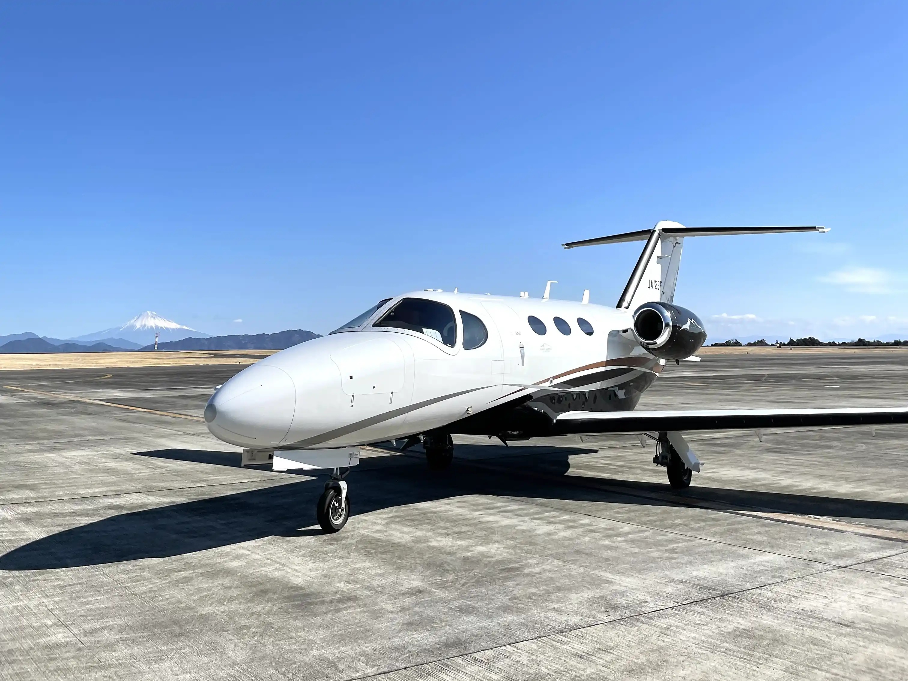 private jet pet